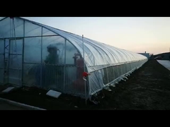 多トンネルの温室
