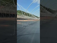 ベリー温室 ブルーベリー温室